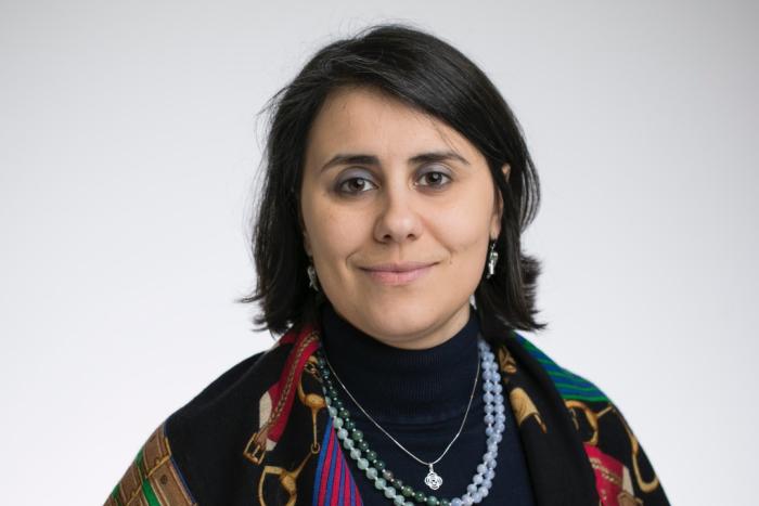 Woman with collar length dark brown hair a colorful neck scarf over her shoulders 